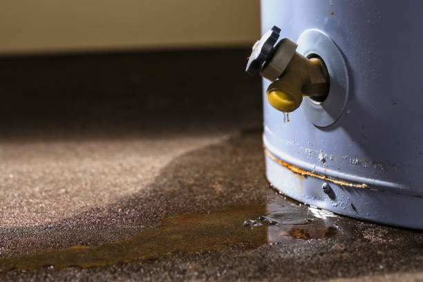 Best 24-hour water damage restoration  in Crenshaw, MS