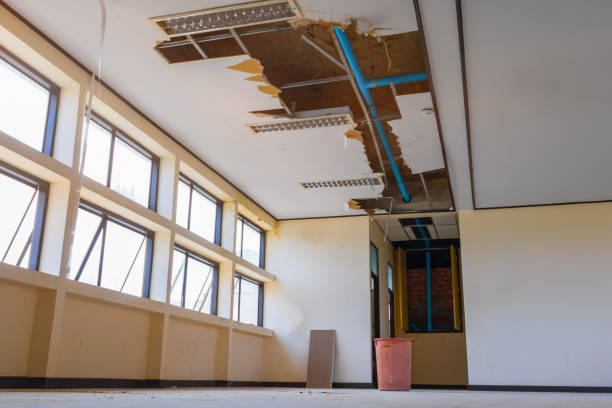 Best Water damage cleanup near me  in Crenshaw, MS
