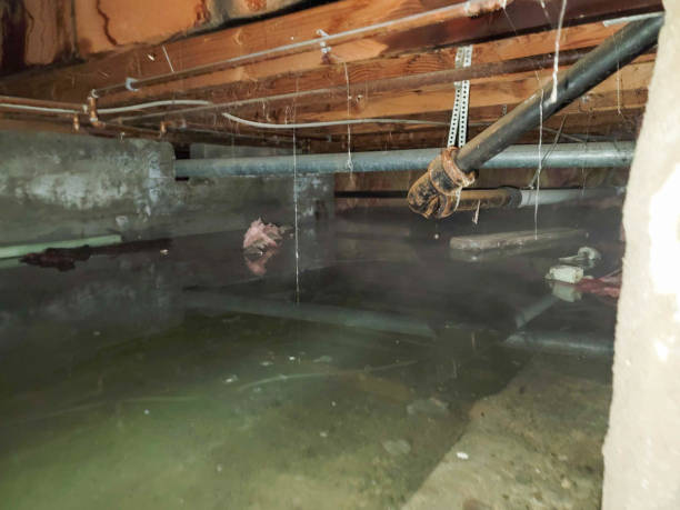Best Residential water damage restoration  in Crenshaw, MS