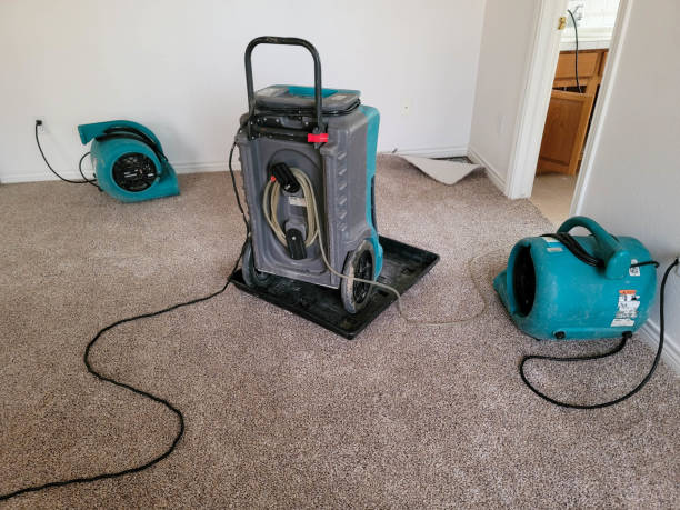 Best Water damage restoration cost  in Crenshaw, MS