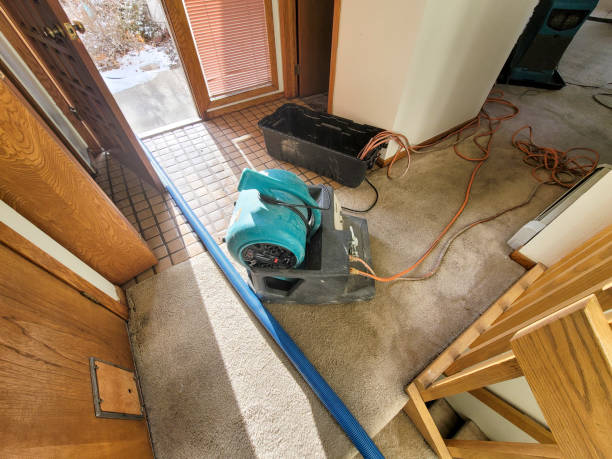 Best Local water damage restoration  in Crenshaw, MS