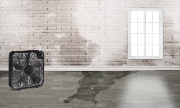 Water damage restoration process in Crenshaw, MS