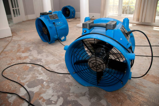 Best Water damage restoration company  in Crenshaw, MS
