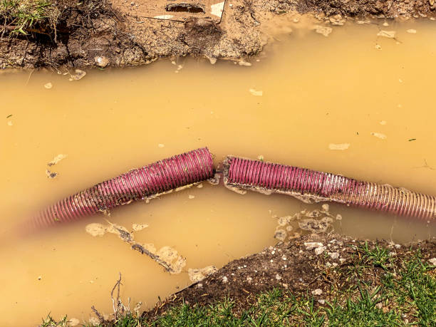 Carpet water damage restoration in Crenshaw, MS