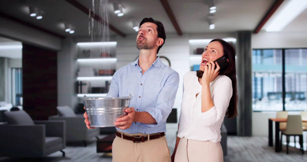 Best Fire Damage Restoration  in Crenshaw, MS