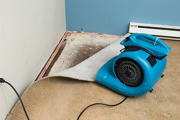 Best Water damage restoration near me  in Crenshaw, MS